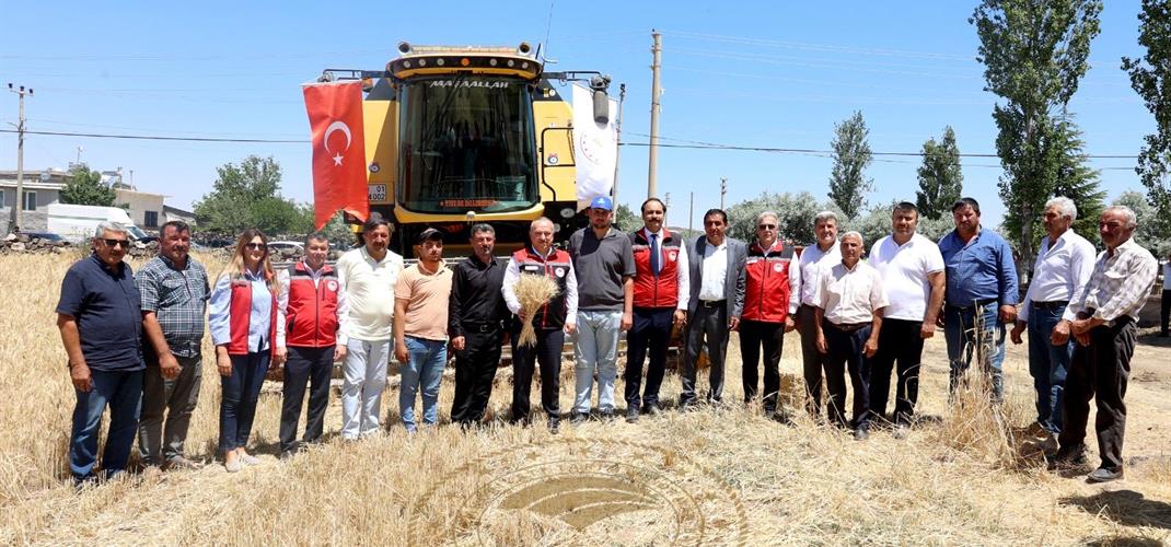 NEVŞEHİR'DE HUBUBAT HASADI YAPILDI