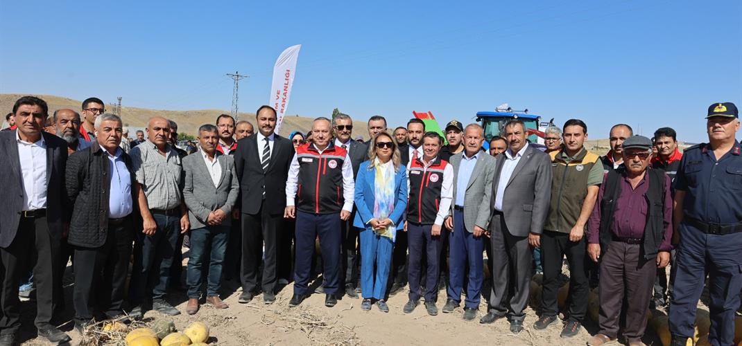 Nevşehir’de Coğrafi İşaretli Çerezlik Kabak Hasadı Etkinliği Gerçekleştirildi 